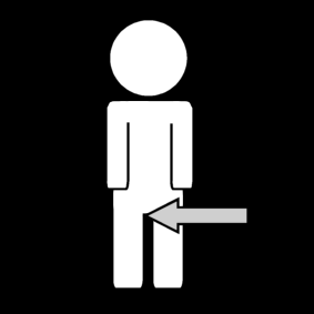 genitals
